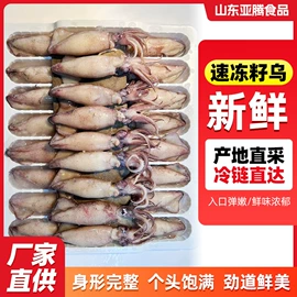 软体类;鱼类;贝类