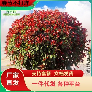 һ�����l�t�~ʯ������ߗU�������С��ͥԺ�@�־G���繤������