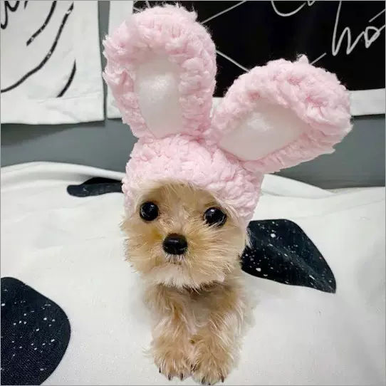 宠物猫头套宠物帽子狗狗头饰宠物狗搞怪宠物用品布偶英短小狗装饰