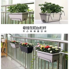 陽台霍倫種菜盆家用盆栽植物長方形種菜專用盆配掛架套裝一件代發