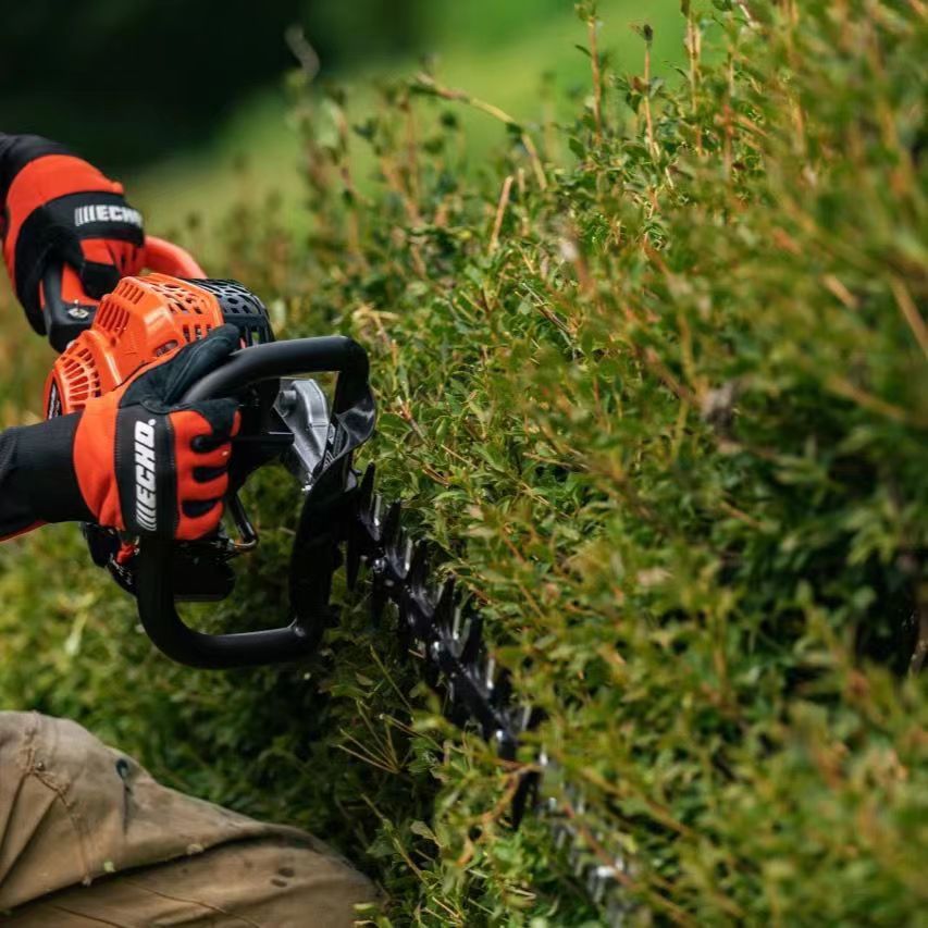 微信图片_20240410142618