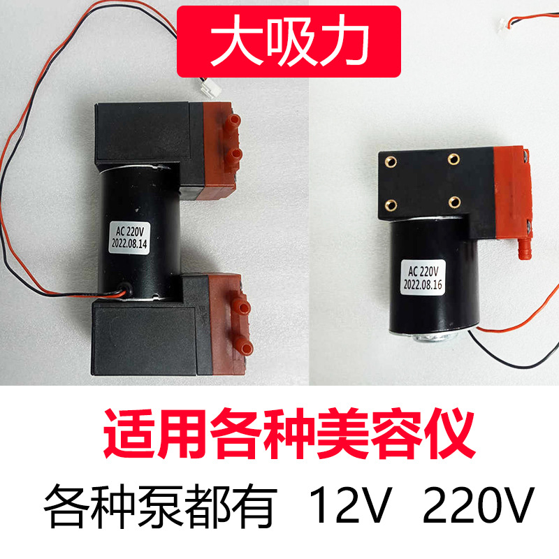 아름다움 계기 공기 펌프 스크래핑 악기 큰 흡입 작은 거품 12v220v 검은 진주 물리 치료 장비 양두 진공 펌프