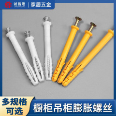メーカーはプラスチック膨張管のネジを供給しています。