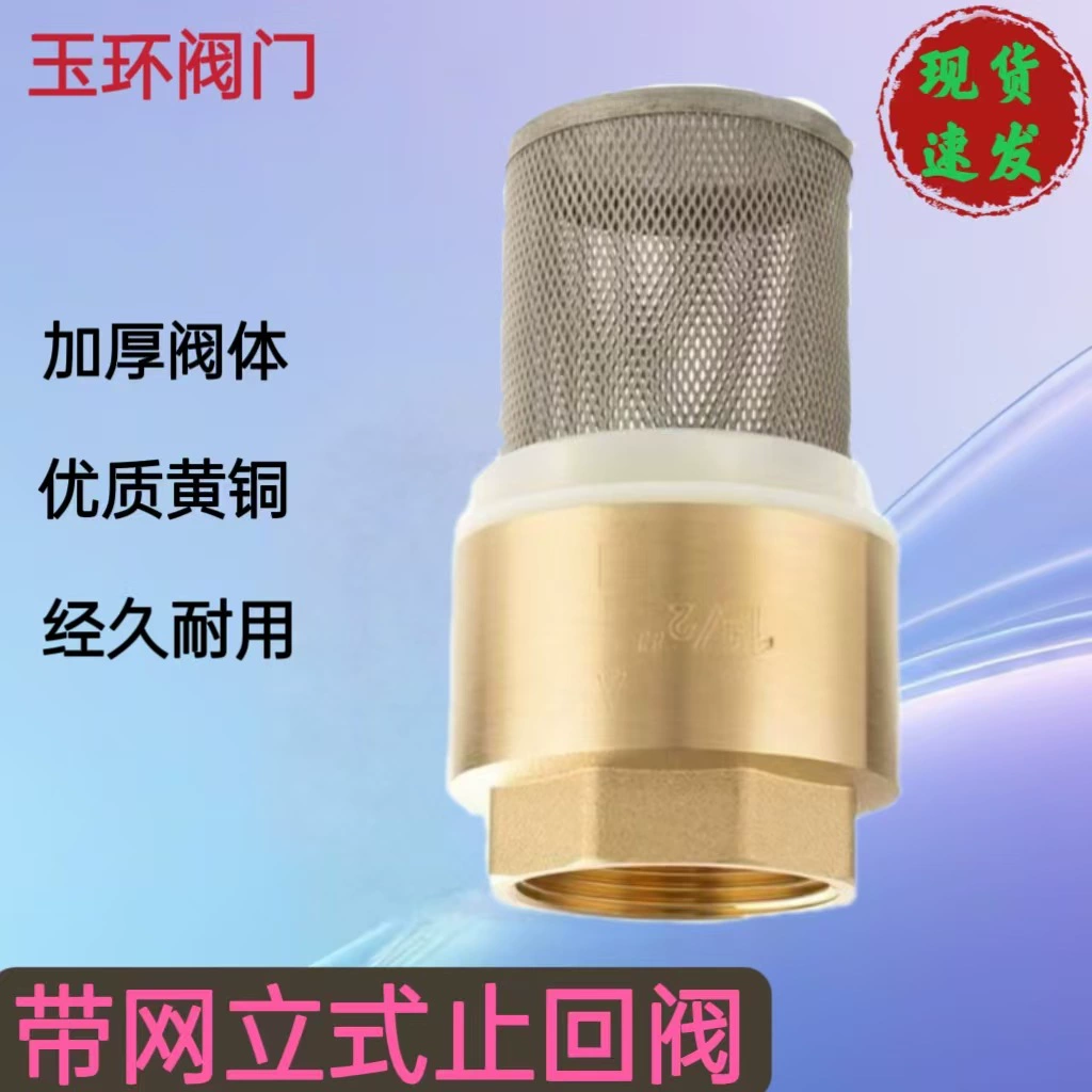 Латунный вертикальный с фильтром обратный клапан 4 минуты внутренней резьбы односторонний водяной насос нижний клапан с пружинным фильтром