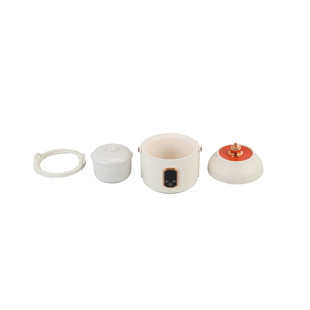 Travel Portable Electric Cooker Multi-Functional Small Mini Household Baby Porridge Rice Cooker Soup Electric Stew Cup Electric Hot Pot