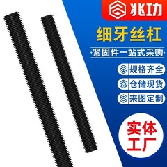 高强度8.8级细牙丝杆牙条全牙螺杆直通丝杠M8M10M12M14M16M20-M42