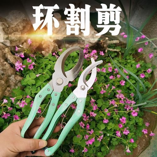 Hardware garden tools fruit tree peeler pruning shears ring cutting scissors green peeling knife ring cutting knife ring cutting shears