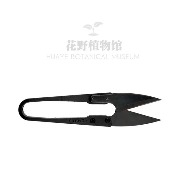 Small lace trimming scissors
