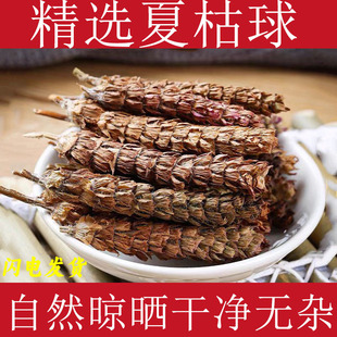 �Ŀݲ���ș����؛��ë�Ŀ����Ĺ�������؈צ���Ŀݲ��ѹ�Ӣɢ�Y��