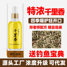 千里香钓鱼小药竞技黑坑野钓诱鱼添加剂鲫鱼鲤鱼药酒鱼饵料麝香酒