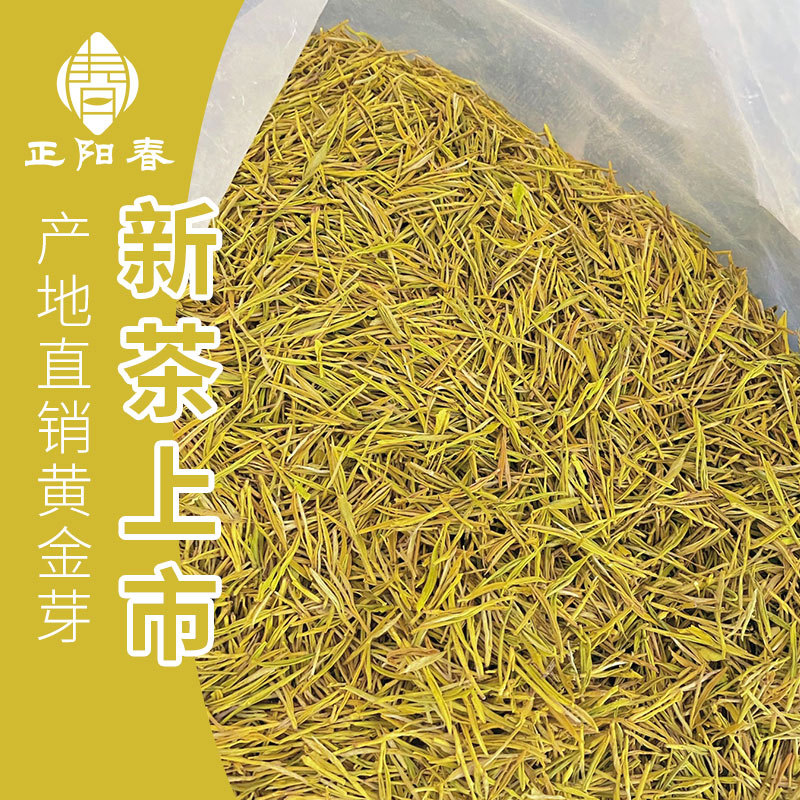 2025年产地直供明前优选黄金芽 浙江绿茶白茶茶叶现货散装批发