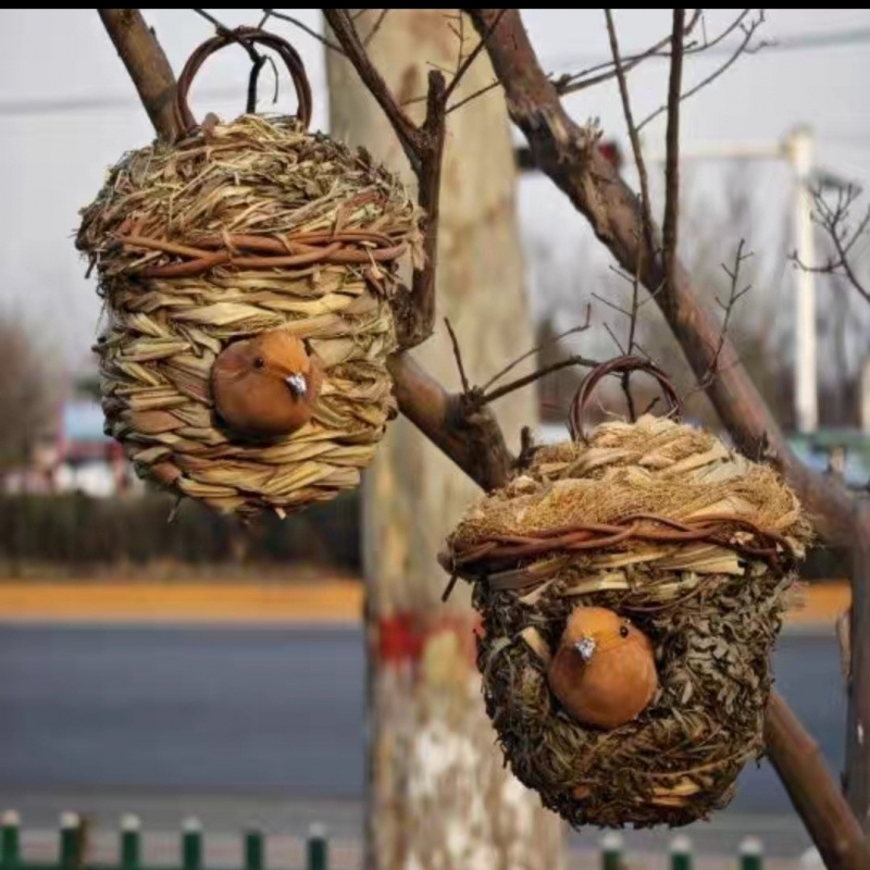 통통한 새가 있는 용풀 새둥지 세트