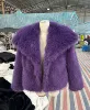 Dark purple (large collar)