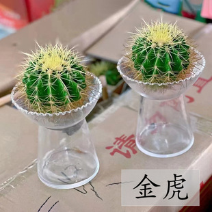 �����������ɳ��ֲ������������B���ܸ��NҎ����·�����ȩ
