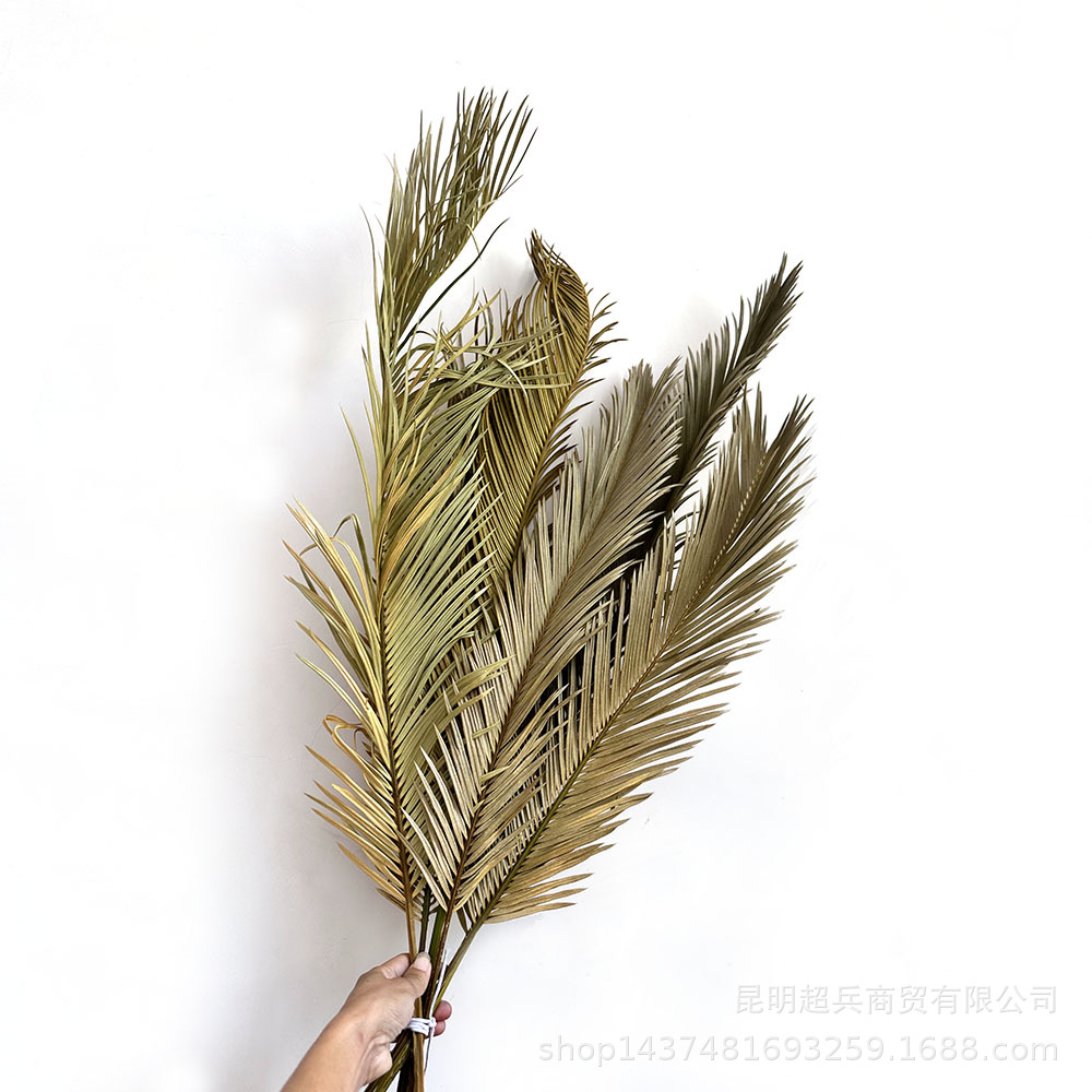 Leaves