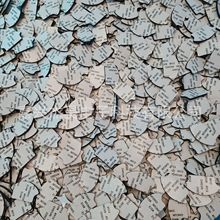 �㽭�S��ֱ�NEVA�����p���z�| ������������_�| ģ�����މ|Ƭ