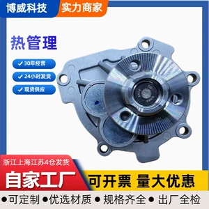 24405895,25195119 Is Suitable for Saic-Gm-Wuling Baojun 63016-Water Pump