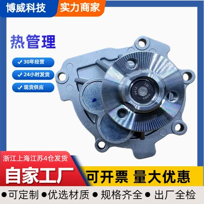24405895,25195119 Is Suitable for Saic-Gm-Wuling Baojun 63016-Water Pump