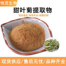 甜叶菊提取物粉10:1 水溶性植物原料级提取物甜叶菊糖苷 甜叶菊粉