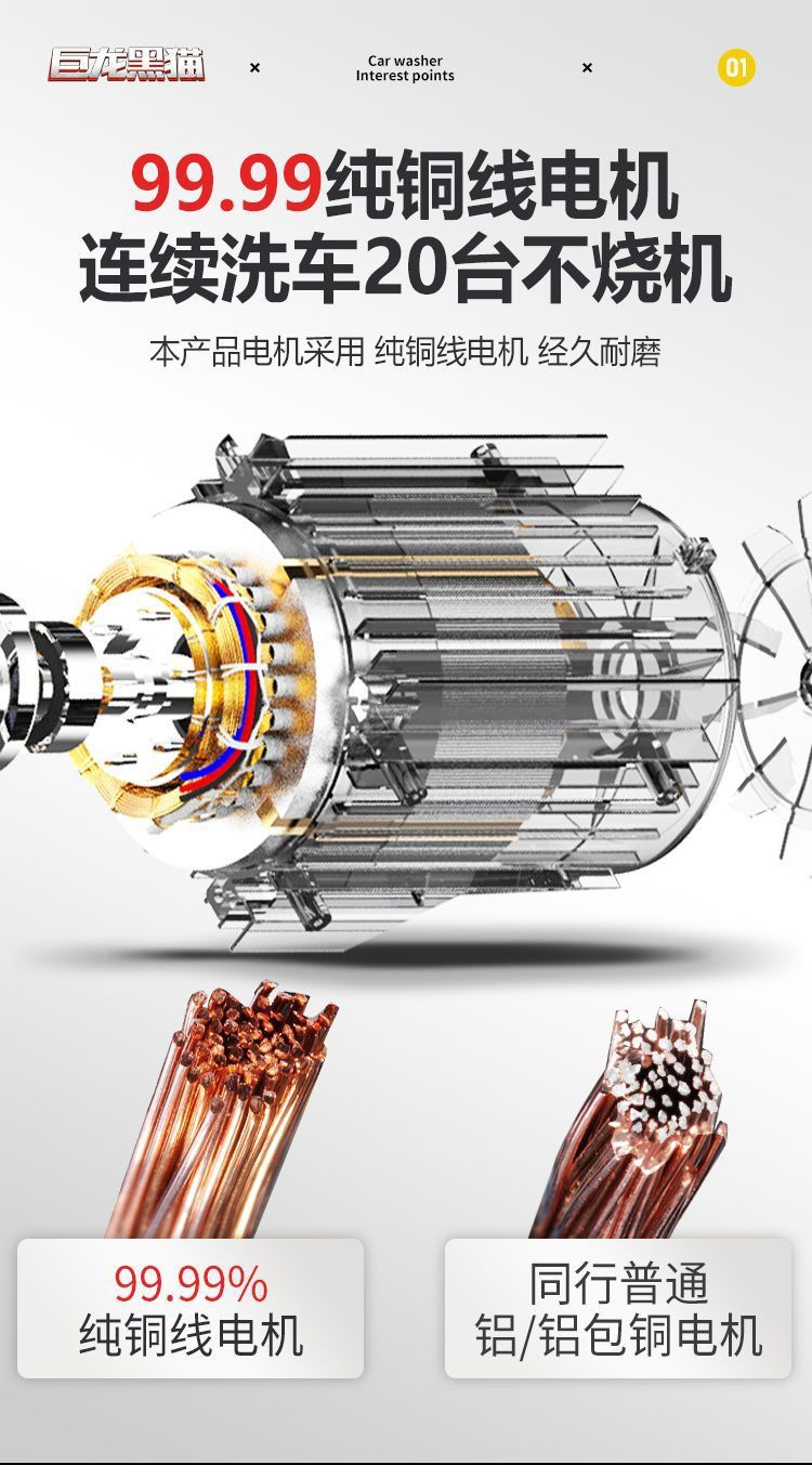 Julong Black Cat Pressure Washer 220V Household High-Power Automatic Adjustable Pressure Car Washer