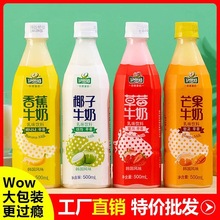 網紅椰子汁牛奶500ml*15瓶整箱高顏值香蕉芒果草莓水果味飲料批發