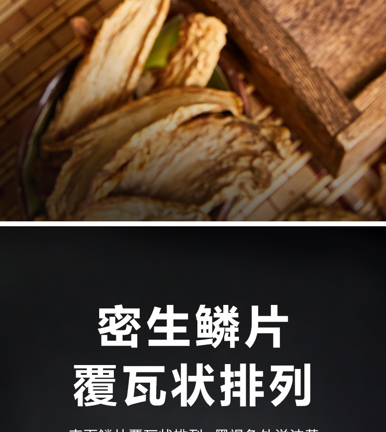 Whole Dried Cistanche Root 500g Rou Cong Rong for Tea Soup and Wine Soaking in use