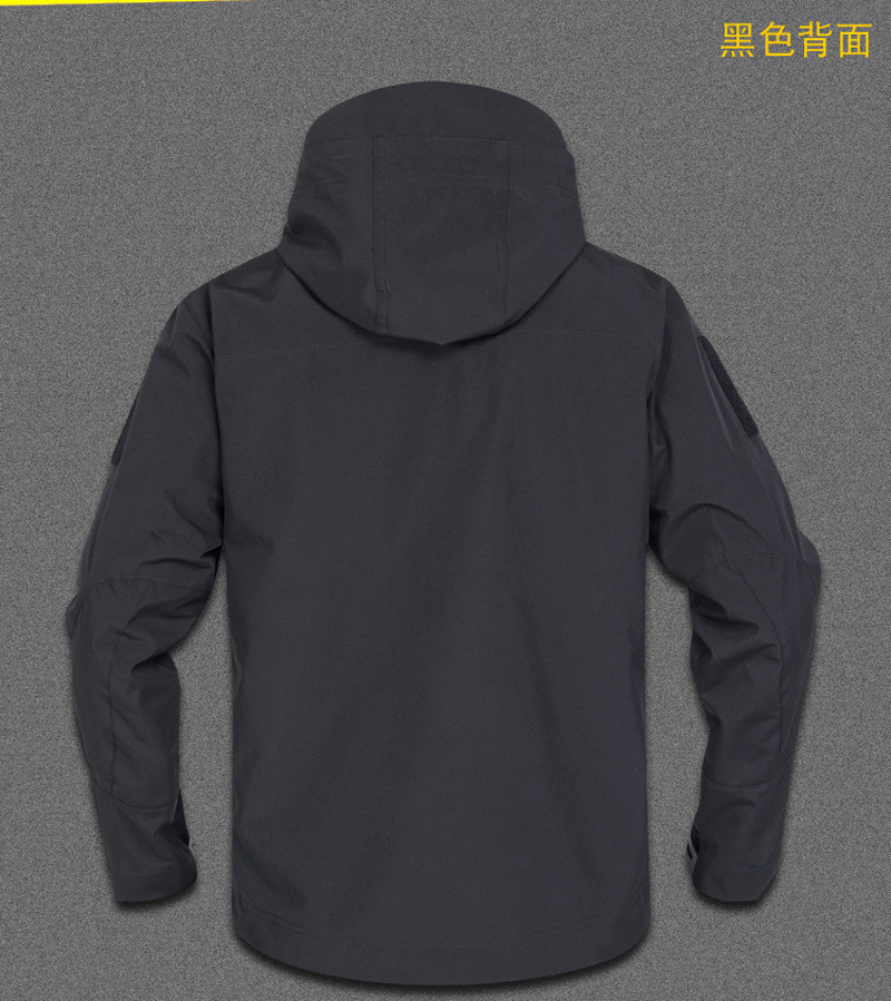 19.png