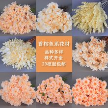 㙉ɫϵİѻcbˇY廨Fĵ̈Ҿӻ