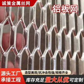 金属板网;钢格板