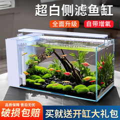 サイドフィルター超白色水槽自己循環生態水草水槽フィルター生態統合水交換不要のホームリビングルームデスクトップ水槽