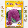 Zi Fei No. 1 purple -red cauliflower seed seed seeds about 100 purple carino balls, cabbage, cabbage specialty cauliflower