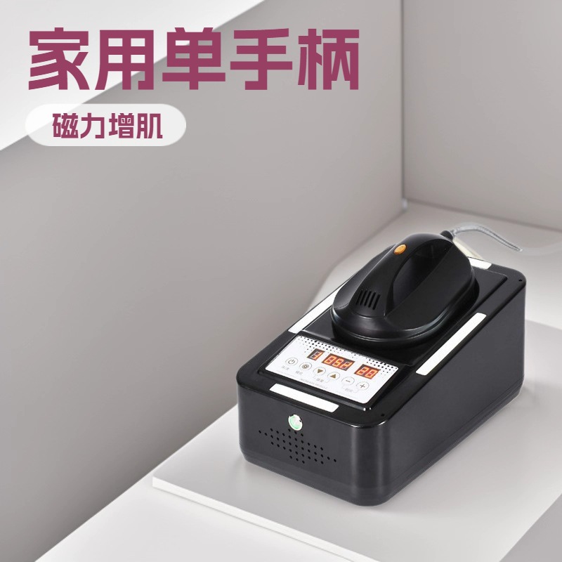 Beauty Salon Spa Home-Use Shaping Device Negative Ion Positive Ion Microcurrent Slimming Device Massager Beauty Equipment