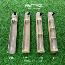 黄色竹节具支试管 新后巢穴蚁庄蚂蚁工坊总动员玻璃材质混凝土