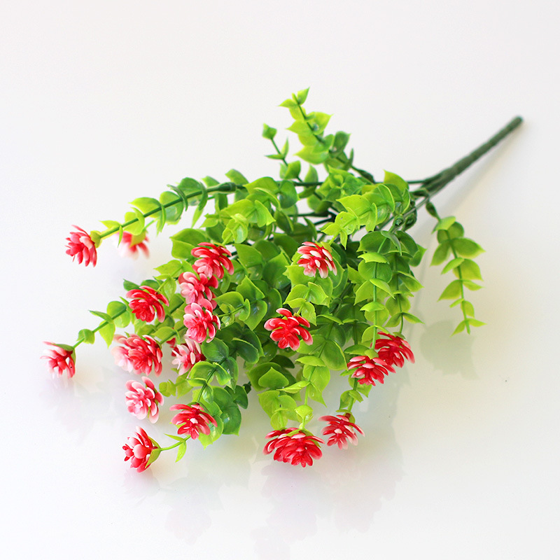 【加利花 大红】