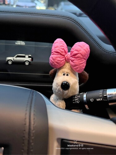 Put the cute butterfly dog gear in the rain gear, turn on the turn signal gear, and decorate the gear.