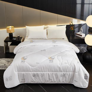 Amazon ebay Cross-border Home Textile 100% Wool Quilt Core Washed Wool Plush Quilt Winter Quilt Gift Live