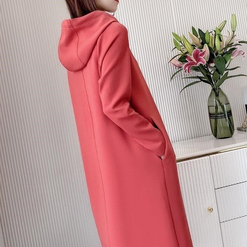 Korean Version New Long Sleeve Dress Women Southeast Asia AliExpress Cross-border Wholesale Plus Size Hooded Sweat Dress
