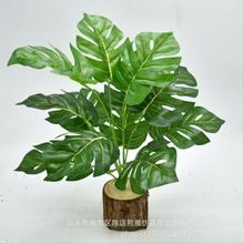 �S��ֱ�N12�^���������~�廨����G��ֲ��҃����b�