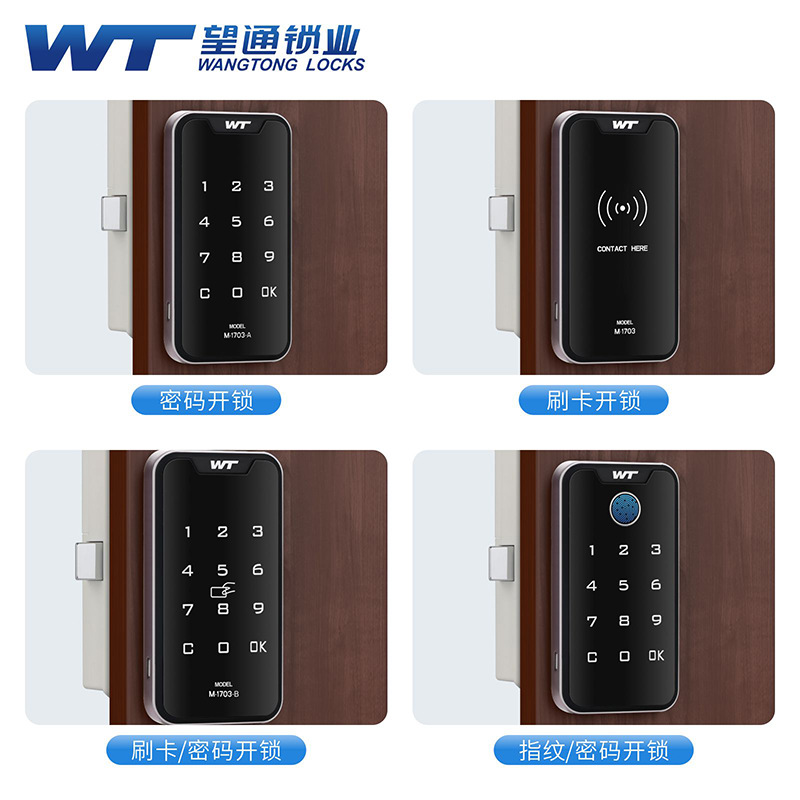 Contraseña inteligente armario cerradura de la puerta del gabinete de la inducción electrónica zapato gabinete de almacenamiento de seguridad cerradura del cajón de bloqueo 1703-a