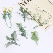 ���R�d����Gֲ�پGֲ���������b�����ˮ��diy����ˮ�ݏS�����l