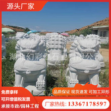 雕塑石獅子 漢白玉石材 漢白玉雕刻板 抱鼓石水缽 各種造型供應