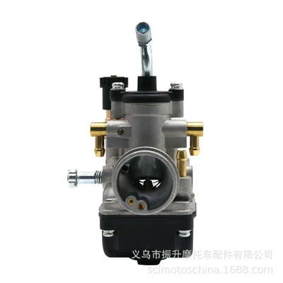 Carburetor 19mm Bs for