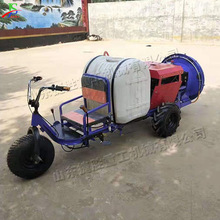 电动三轮打药车 园林绿化带驱虫喷药机 小型座驾式农用洒药机