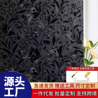 静电无胶磨砂玻璃贴膜防偷窥不透人炫彩镭射玻璃贴纸全遮隐私贴膜
