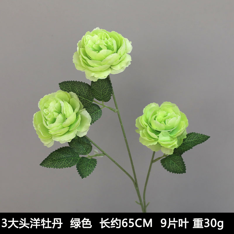 3 Great Ocean Peony Green