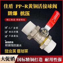 ��h�Ѷ��~�y�TPPR������y�p�^����DN202532ˮ�yȫͨ��