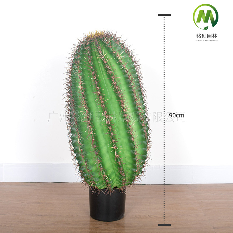 Decoración de paisajismo de plantas falsas en el desierto tropical image 28