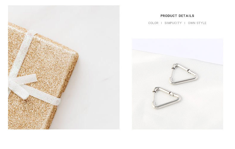 Fashion Triangle Titanium Steel Plating Earrings 1 Piece