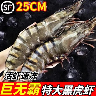 �ڻ��r�r����ϻ��r�ك��ش��r�����r�r�r���r�o����߾Ź��r