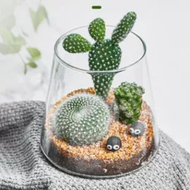 玻璃杯;茶壶;茶叶罐